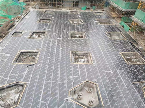 武昌知名自粘卷材 品质卓越，售后无忧，武汉长盛鑫防水工程专业供应